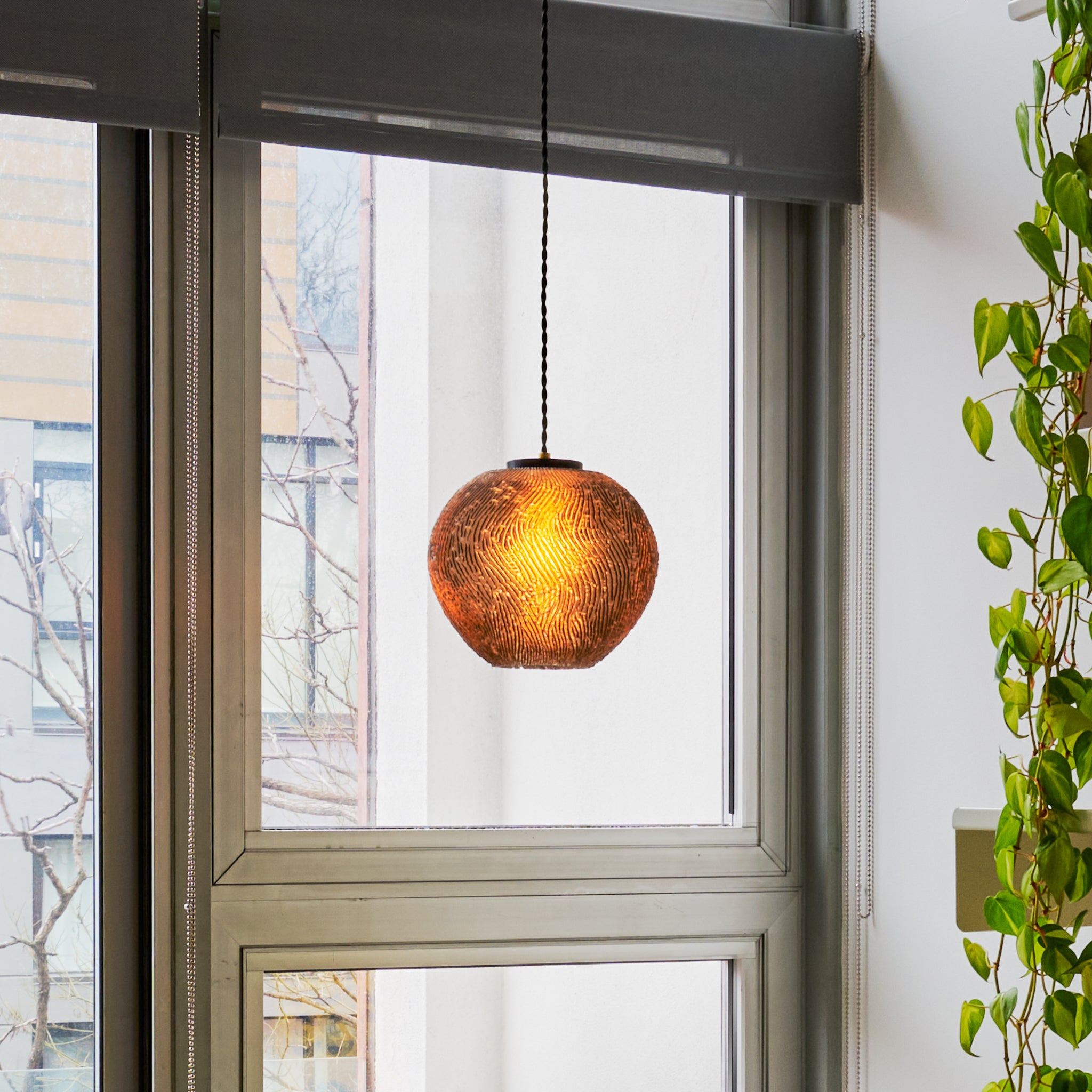 Image of Coral Pendant Smoke in front of large window and plant