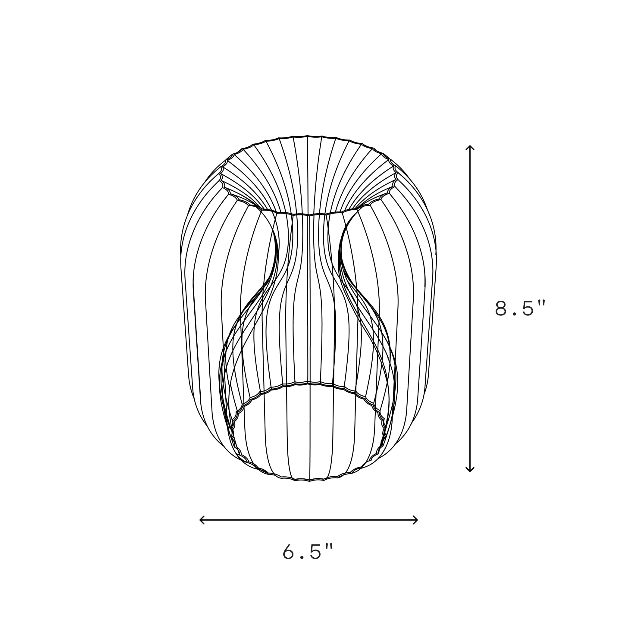 Allium Lamp x Christopher Merchant