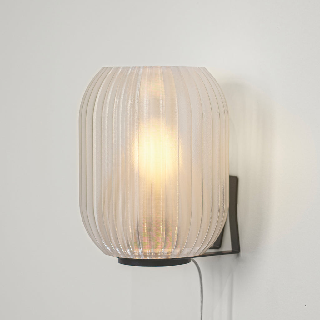 Allium Sconce in Clear on white background