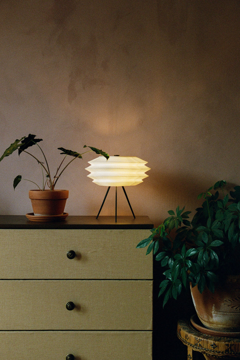 CS.01 – Arcas | Seconds