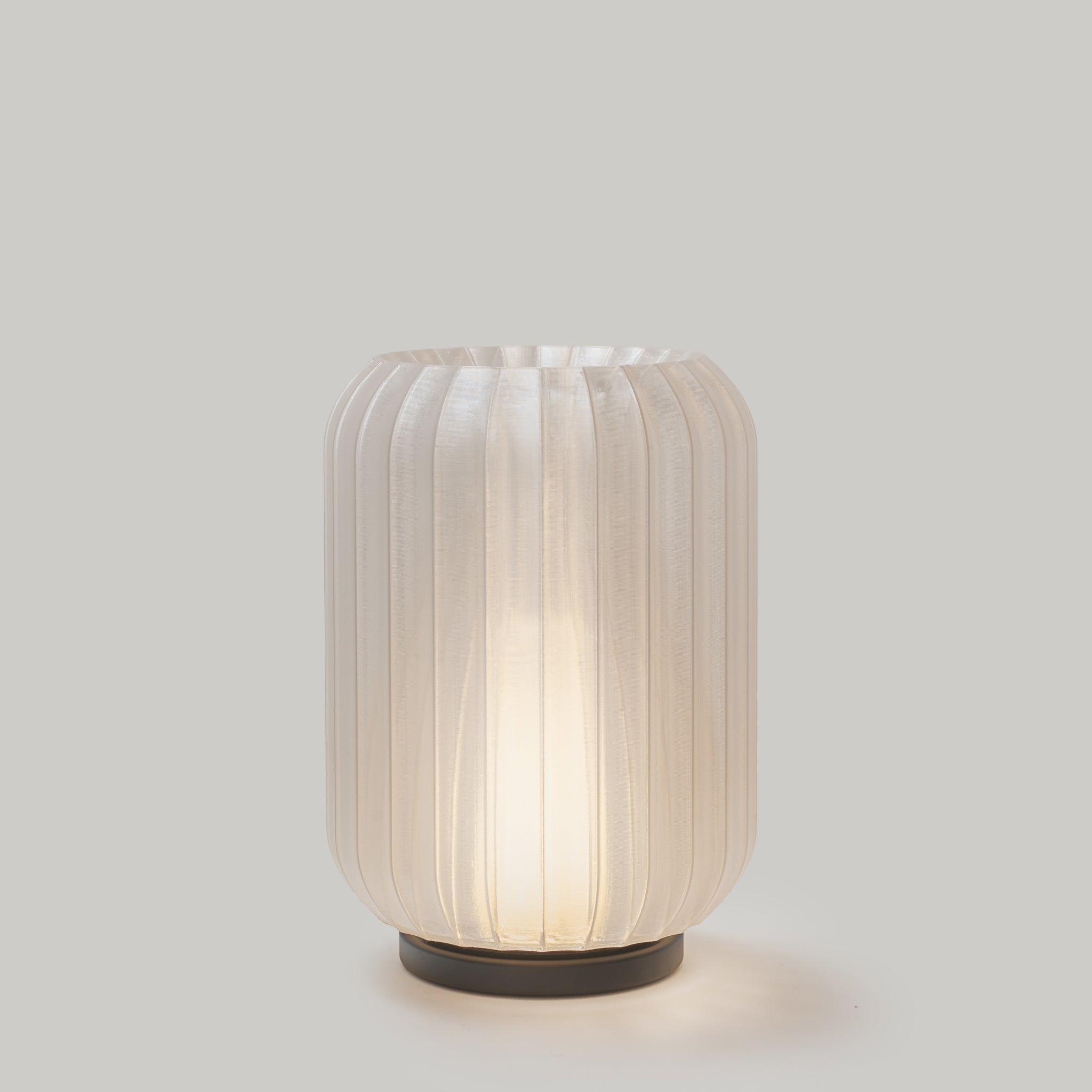 Mini Allium Lamp