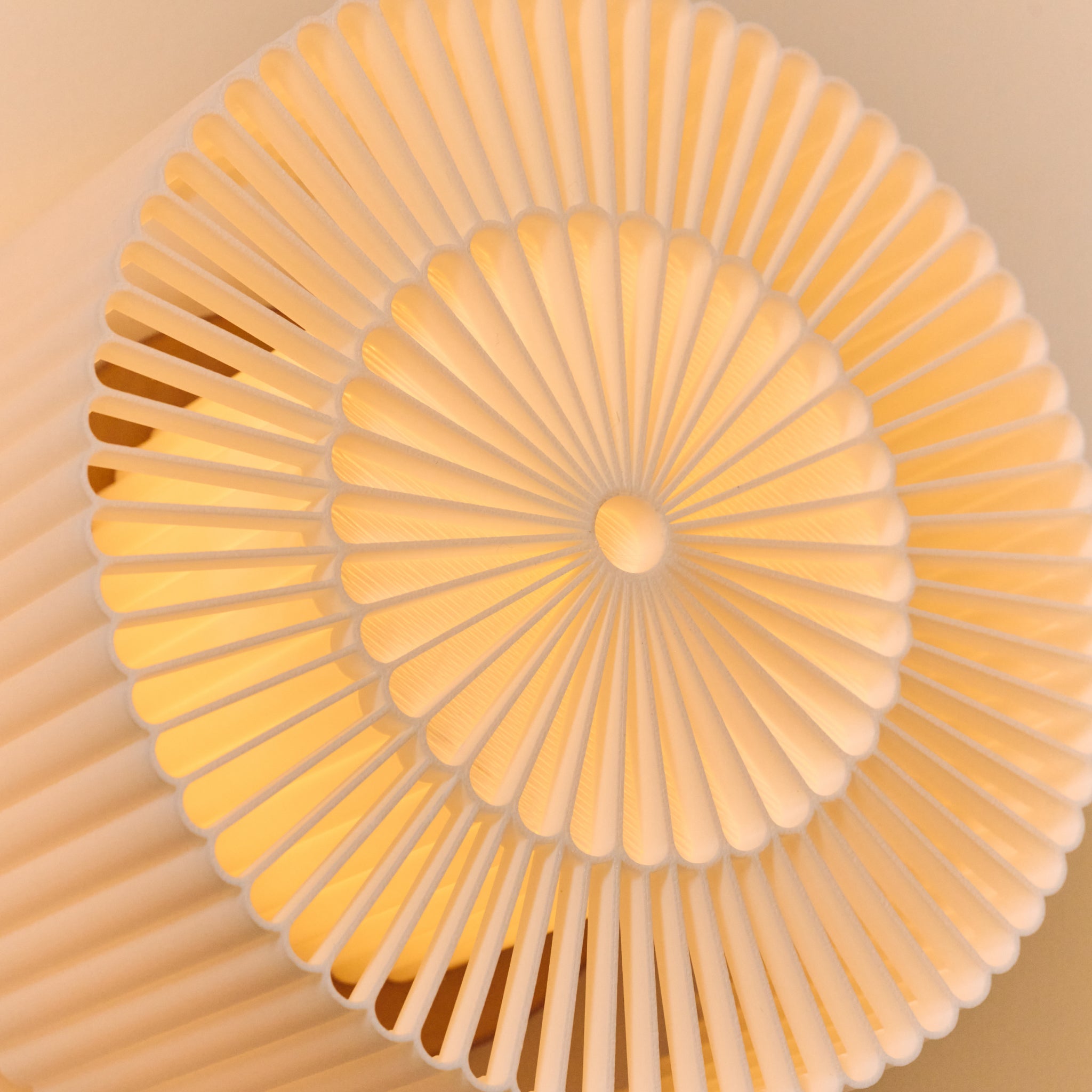 Closeup of Rosette Sconce in the daytime