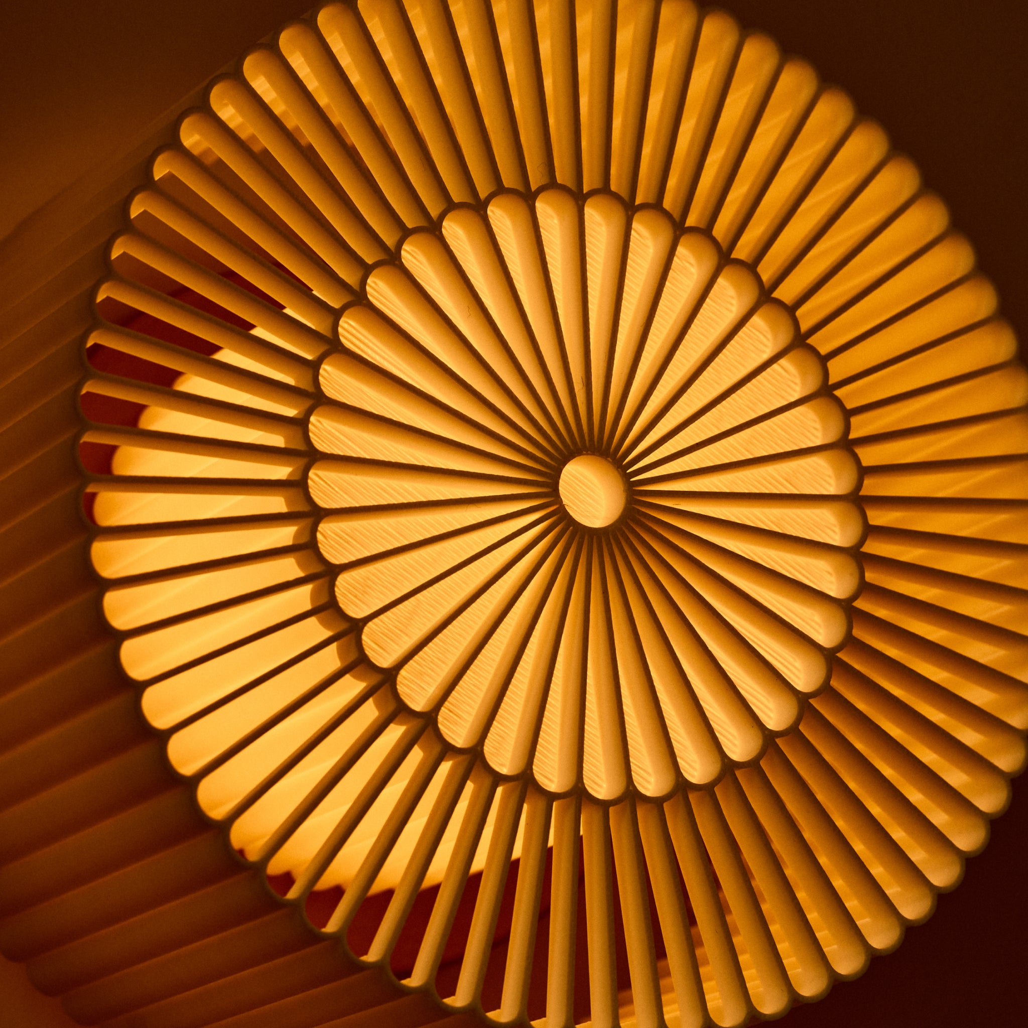 Closeup of Rosette Sconce in the dark