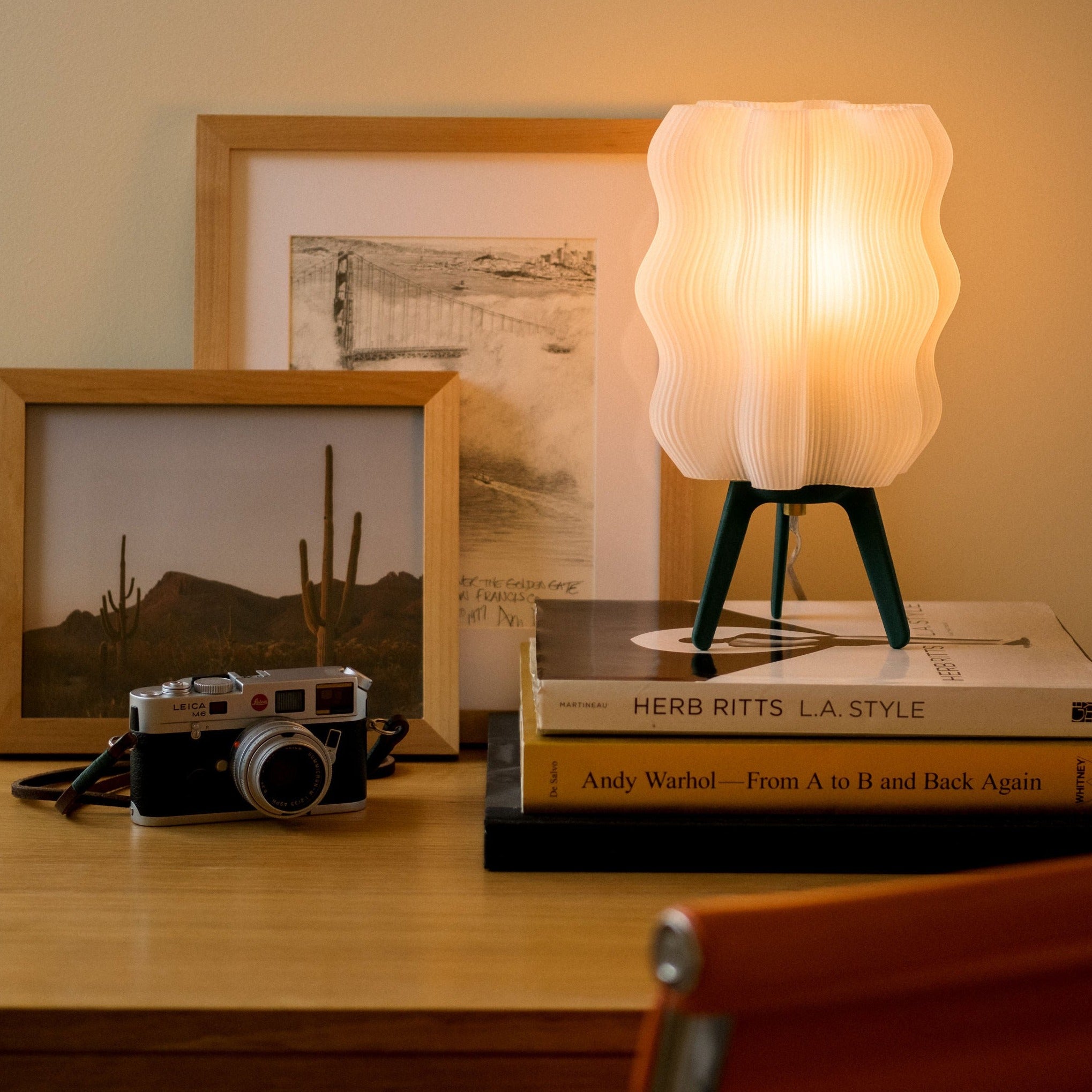 Wavy Lamp in forest on stack of books next to picture frames
